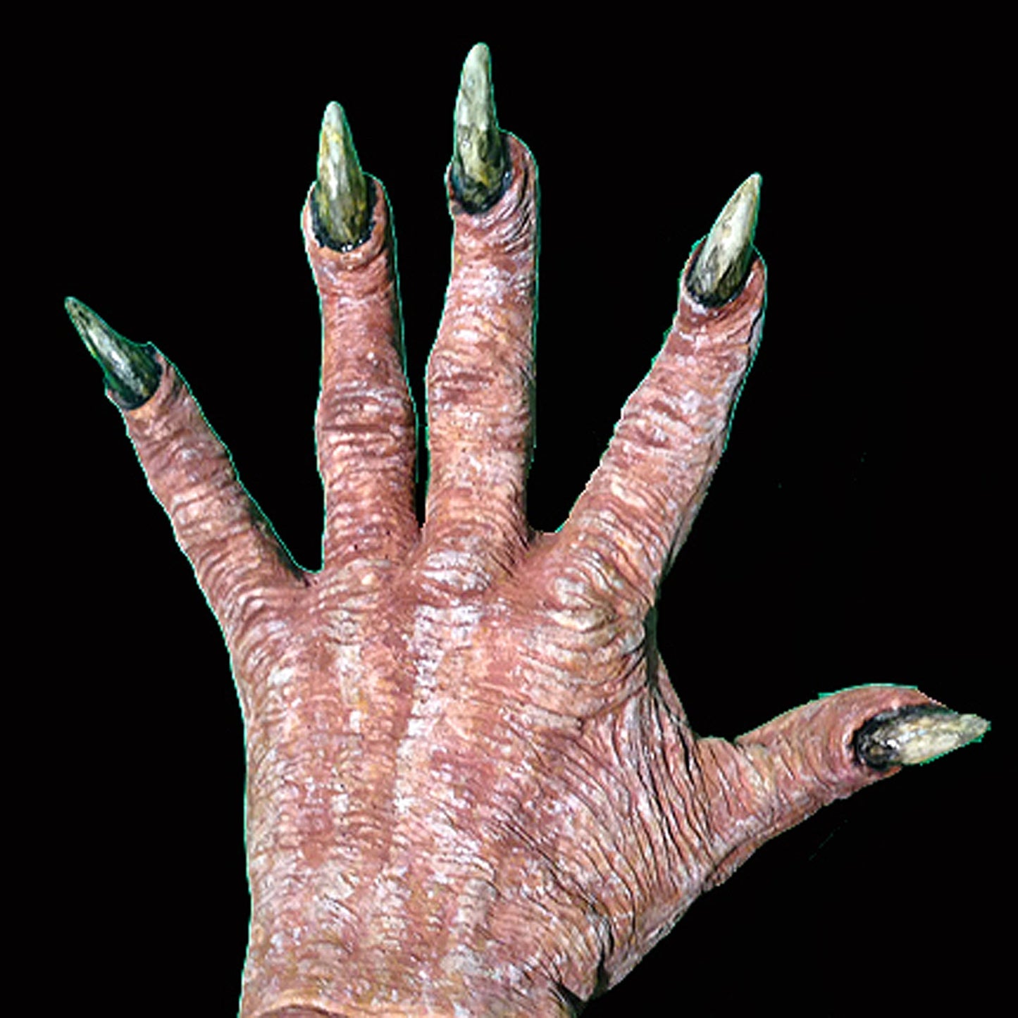 Creature Hand Backs Foam Latex Prosthetic