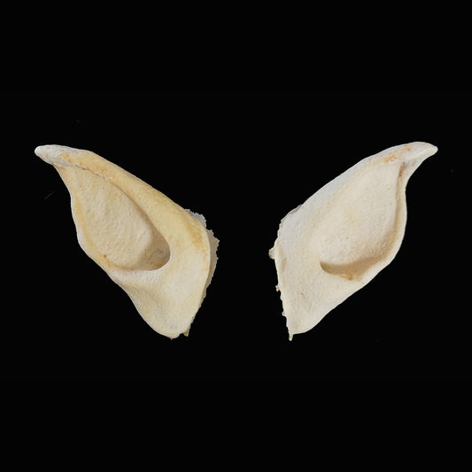 Monster Ears Foam Latex Prosthetic Set