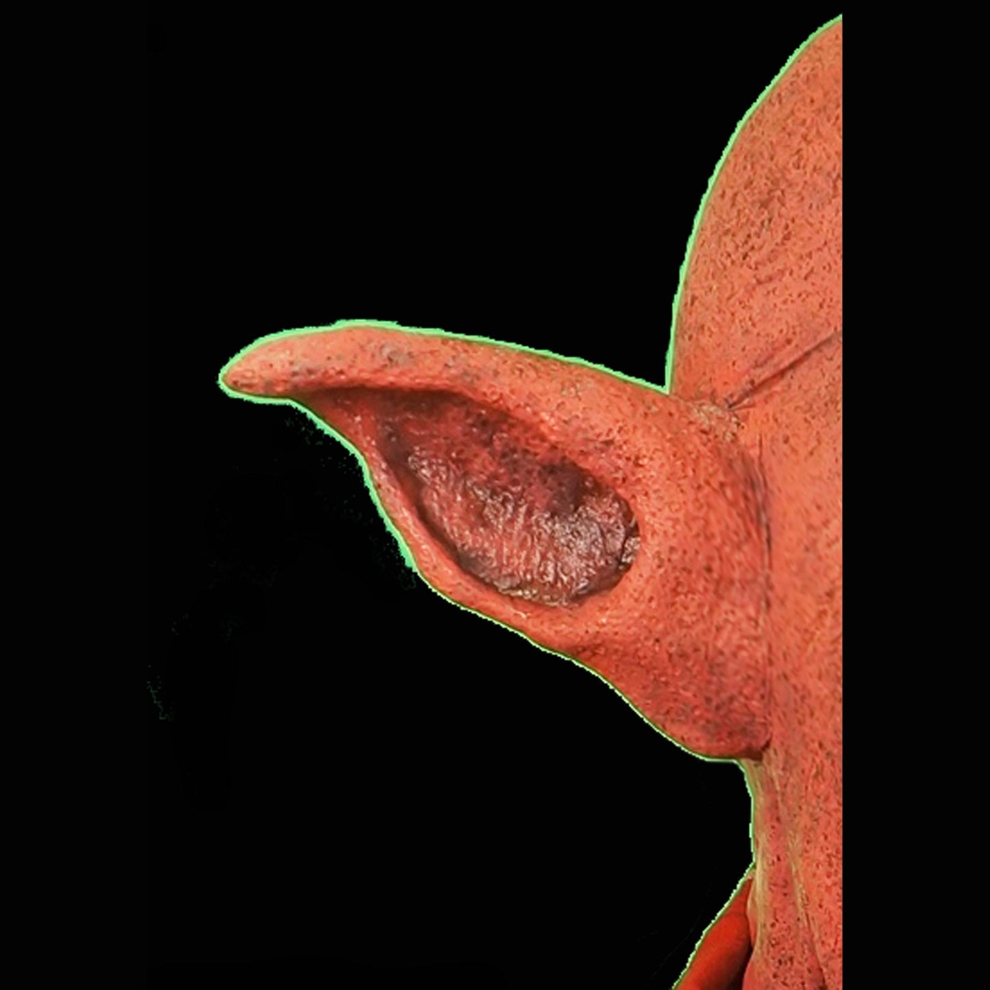 Monster Ears Foam Latex Prosthetic Set