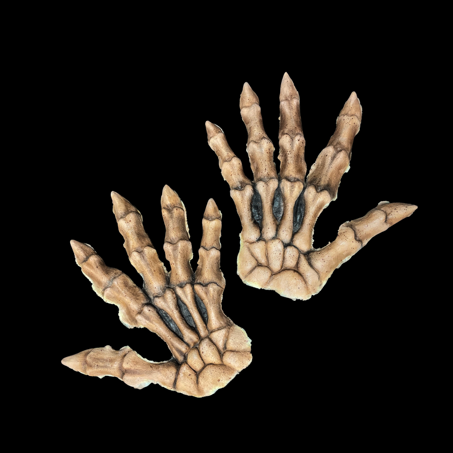 Skeleton Hand Backs Foam Latex Prosthetic