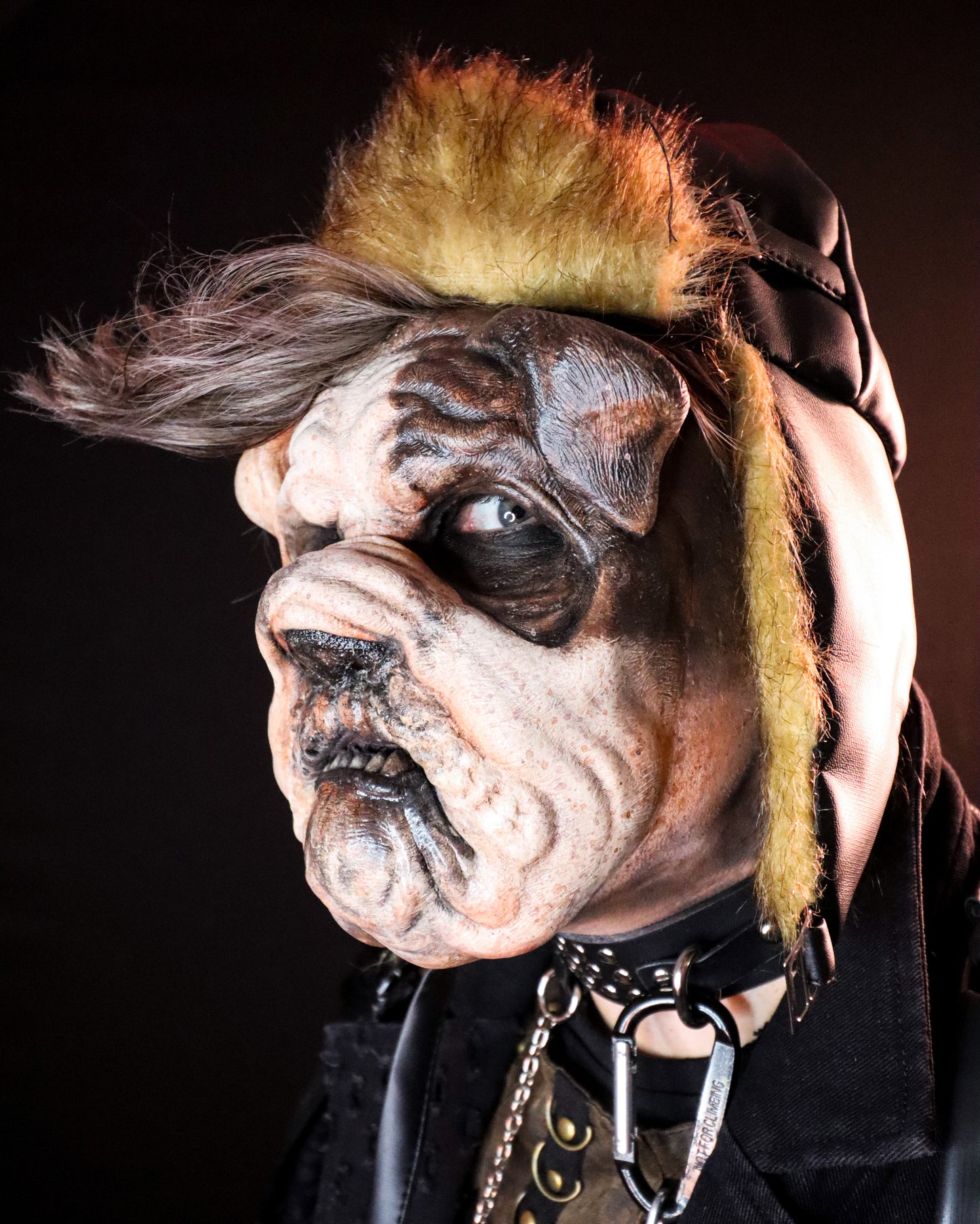 Bulldog Foam Latex Prosthetic