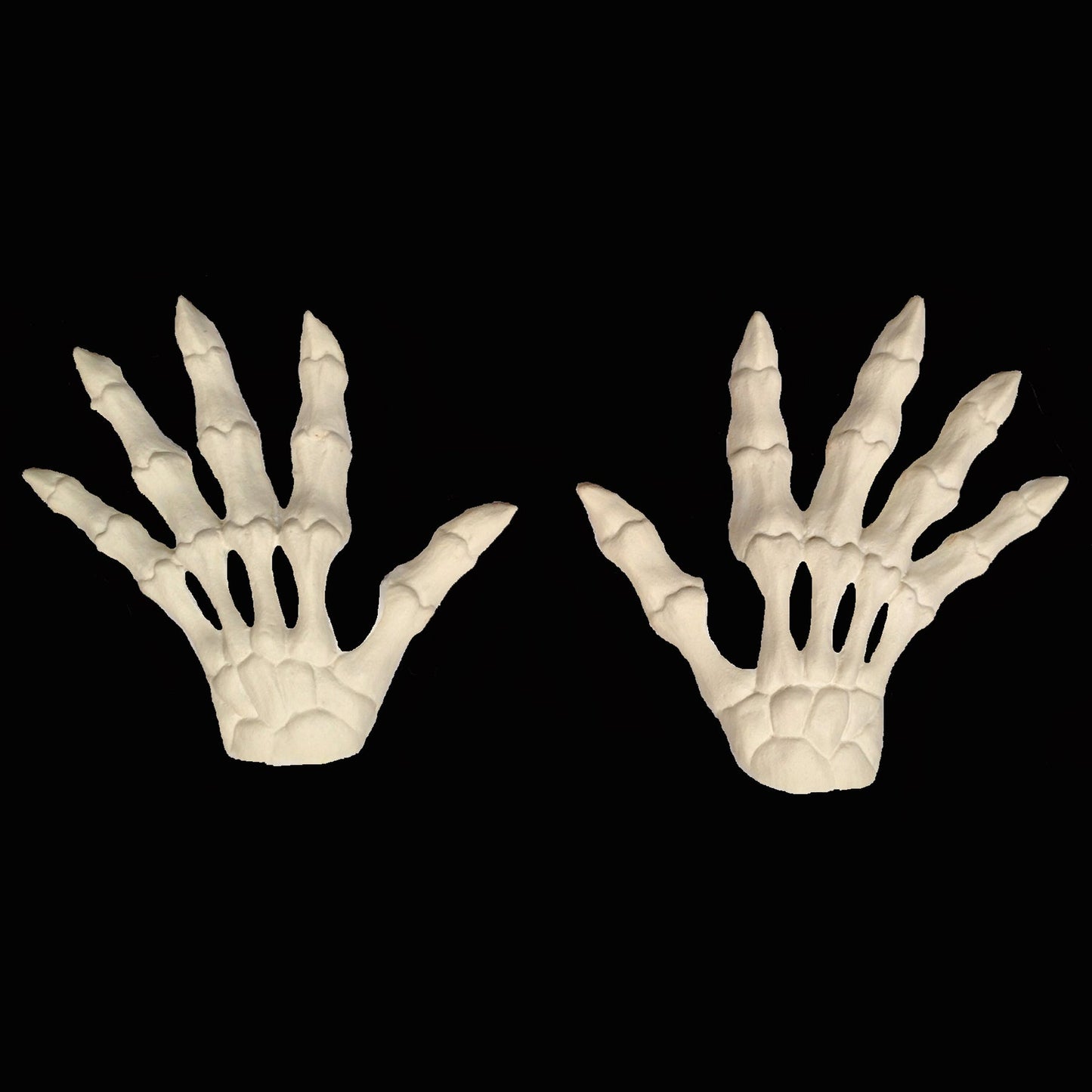 Skeleton Hand Backs Foam Latex Prosthetic