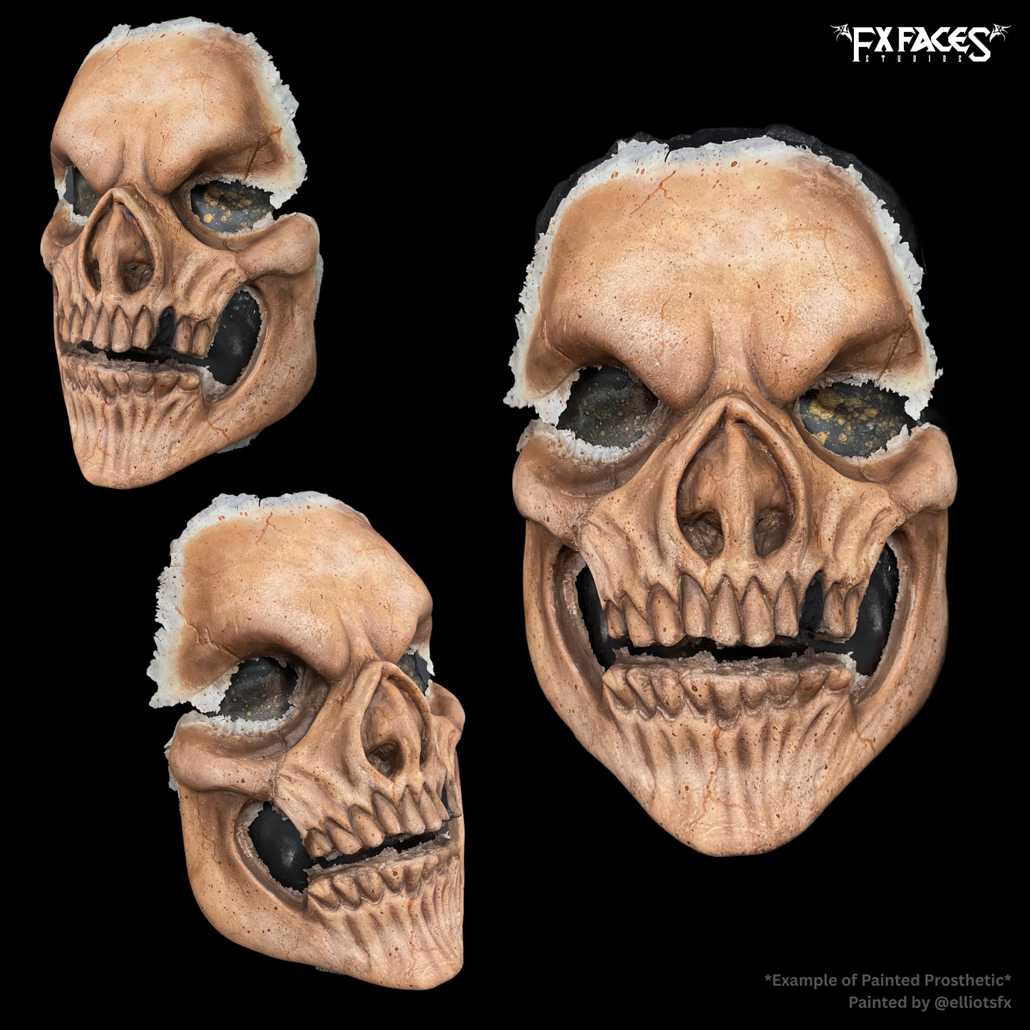 Skull Foam Latex Prosthetic