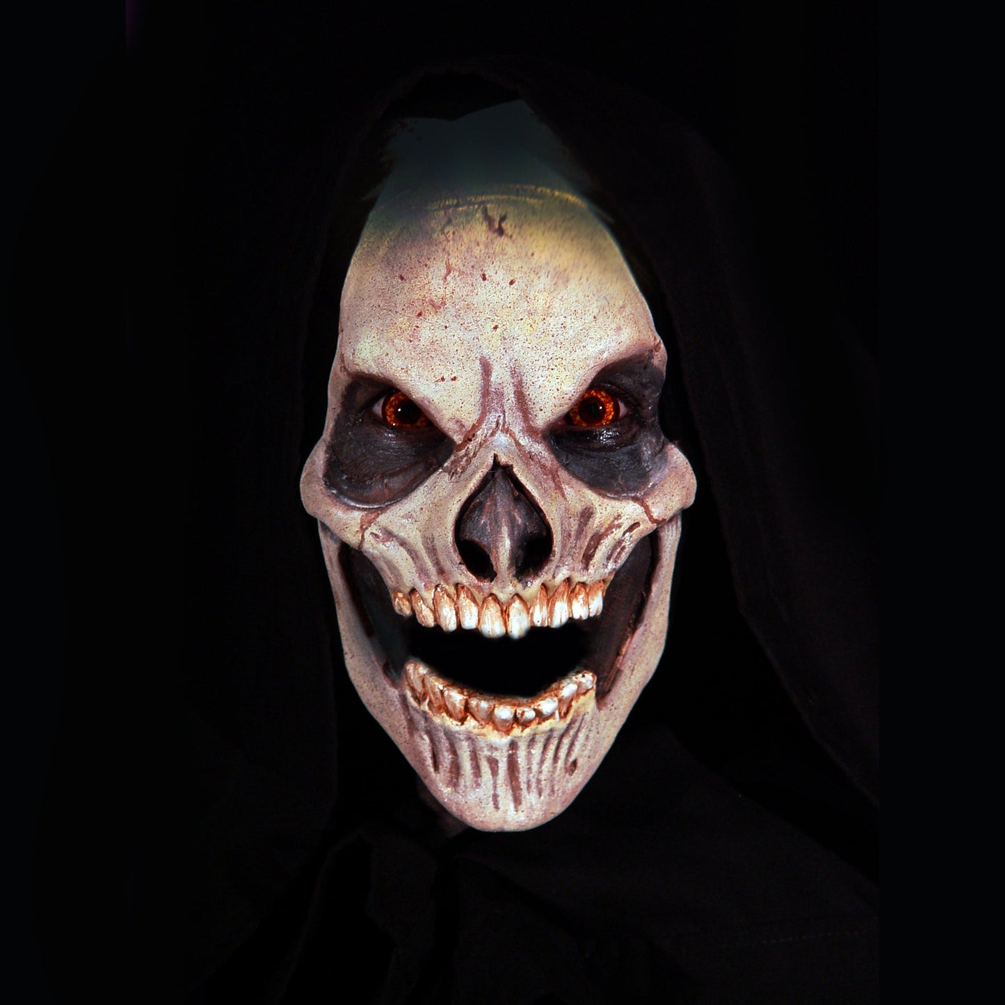 Skull Foam Latex Prosthetic