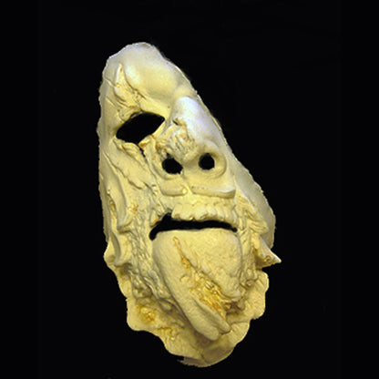 Trauma Foam Latex Prosthetic