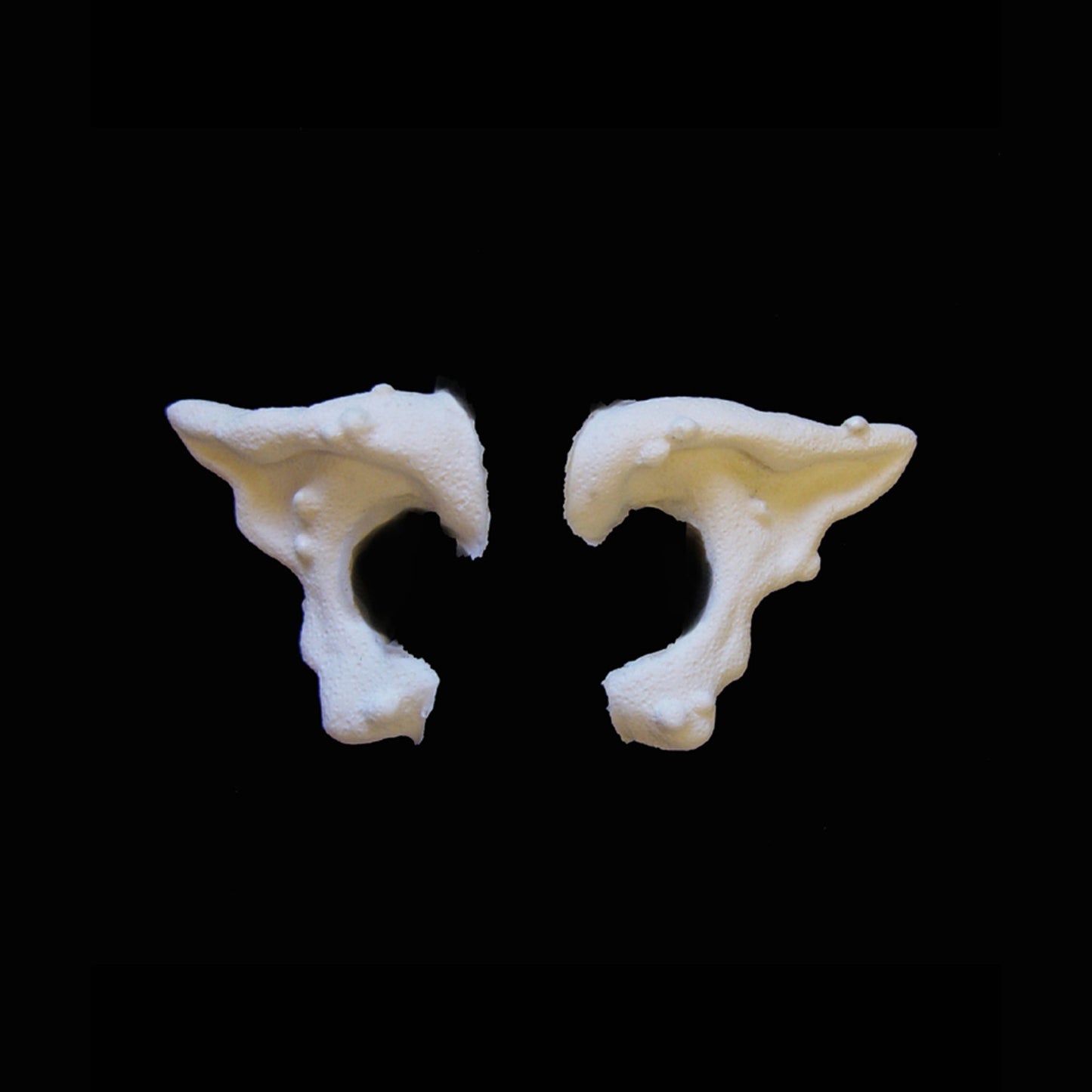 Warty Ears Foam Latex Prosthetic Set