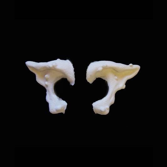 Warty Ears Foam Latex Prosthetic Set