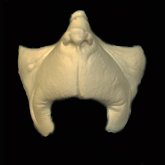 What-1 Foam Latex Prosthetic
