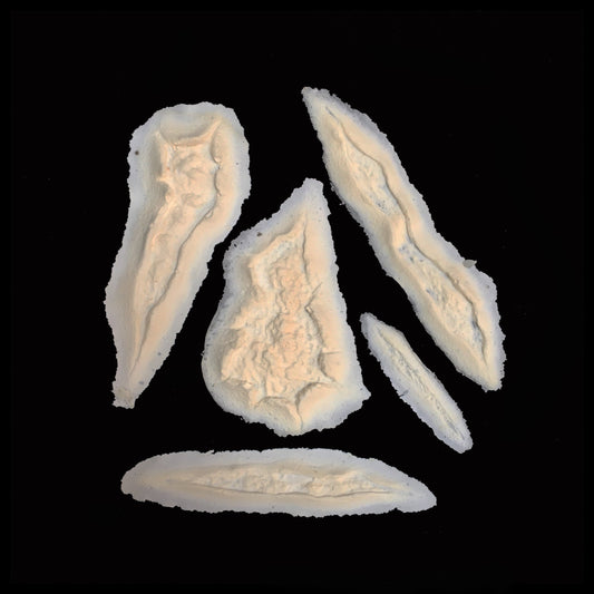 Wounds Foam Latex Prosthetic Set