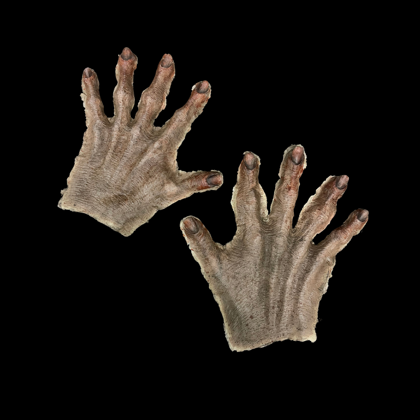 Zombie Hand Backs Foam Latex Prosthetic
