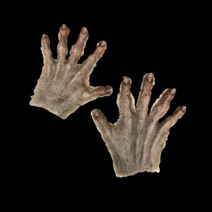 Zombie Hand Backs Foam Latex Prosthetic