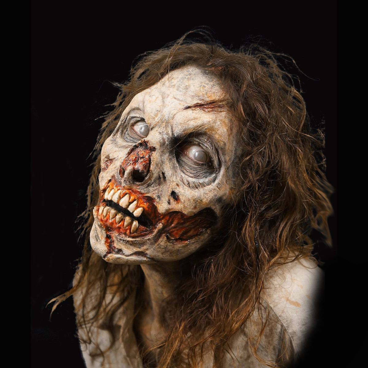Zombie Rot Zombie Rot Foam Latex Prosthetic – FX Faces Wholesale